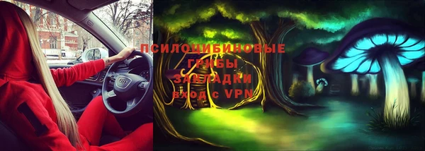 круглые Алзамай