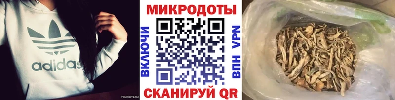 Псилоцибиновые грибы GOLDEN TEACHER  Серов 